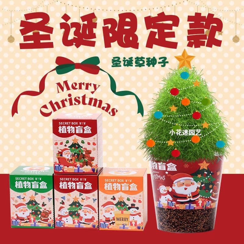 Christmas gift plant blind box small potted plants kindergarten gift indoor planting student desktop green plants potted plants
