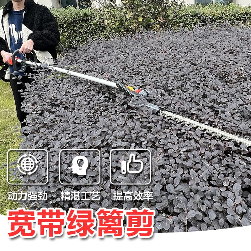 Factory Supply Garden Pruning Shears Lithium Battery High Branch Hedge Trimmer Lithium Broadband Hedge Trimmer