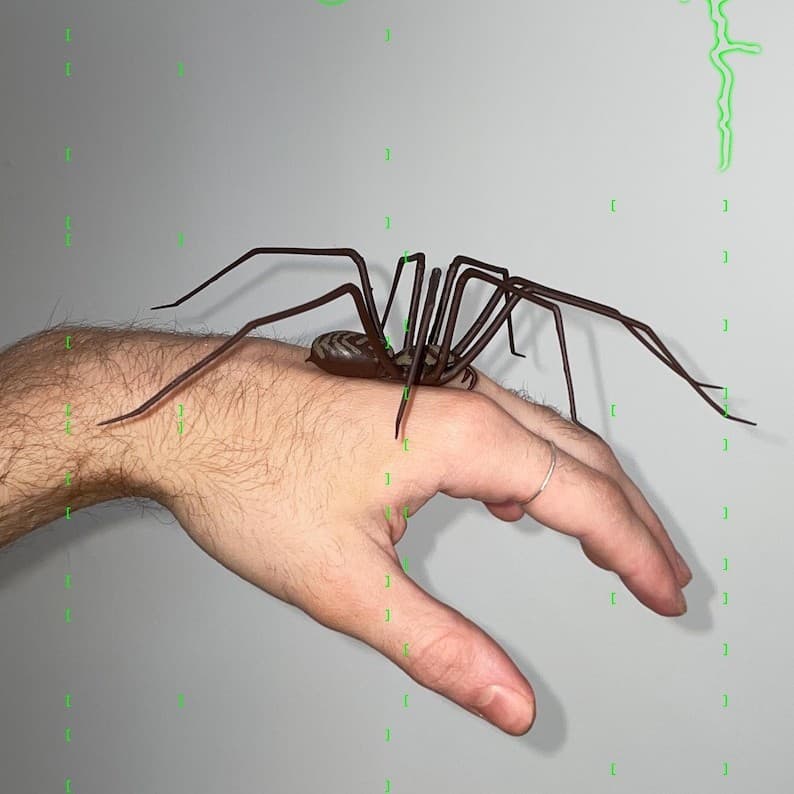 Amazon New Product Plastic Spider Decoration Prank Ornament