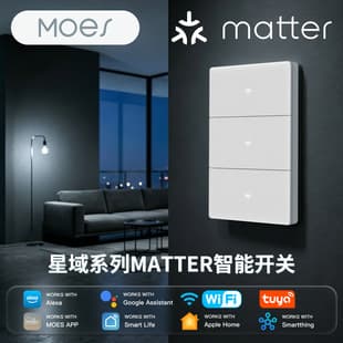 Tuya Smart Home Matter WiFi Smart Switch Custom App Compatible Smartlife Homekit
