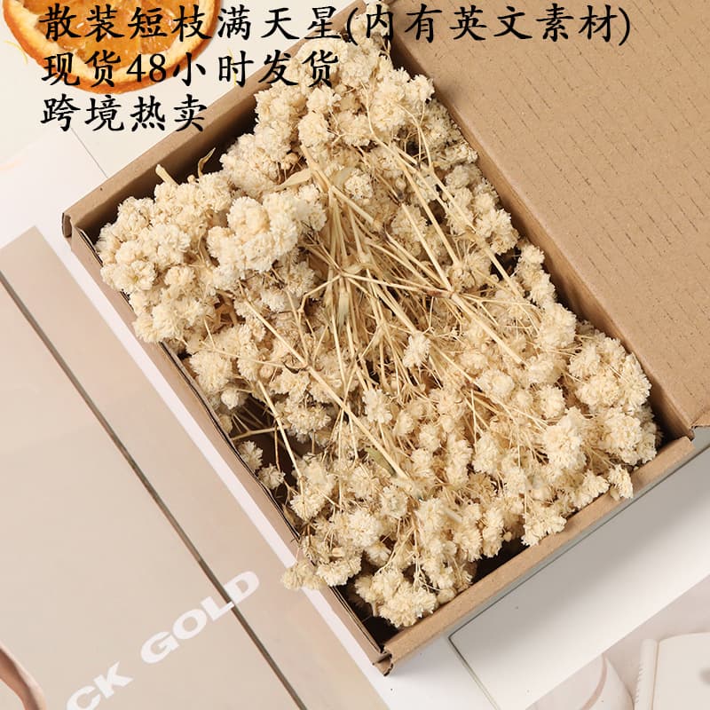 Baby's Breath Dried Flowers Preserved Flowers DIY Kit Floral Arrangement Decoration Bouquet Cross-border Bulk Baby's Breath Lover Crystal