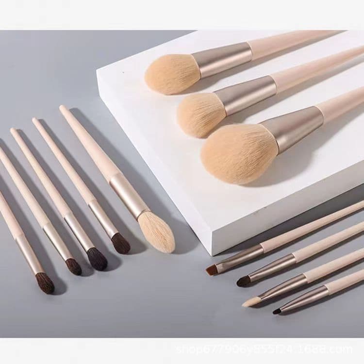 Morandi 12-piece makeup brush set, contouring eye shadow, loose powder, blush, concealer brush, animal hair