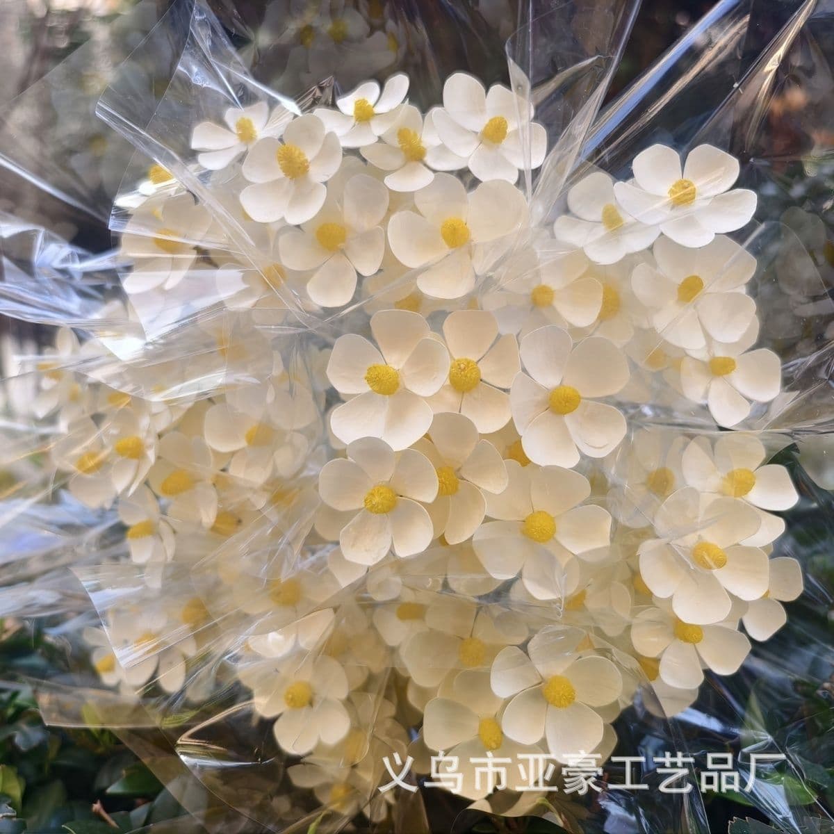 Violet Dried Flower Small Fresh Home Arrangement Decoration Gypsophila Oncidium Handmade Bouquet DIY Flower Arrangement