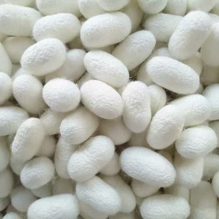 Nantong mulberry silk refining cocoon opening machine and silk reeling machine specializing in silkworm cocoons and mulberry silk raw materials wholesale, large quantities at preferential prices.