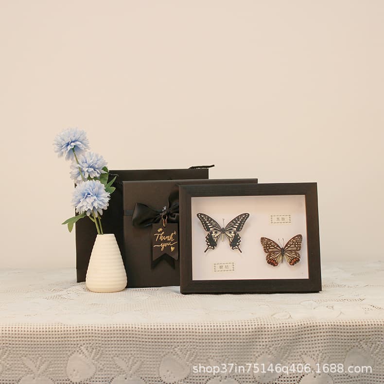 Hollow 3D Dried Flower Picture Frame Lighted Display Stand Butterfly Specimen Frame DIY Seashell Decorative Frame