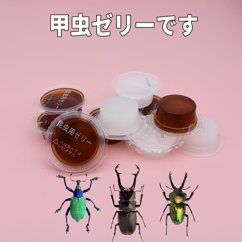 Beetle Jelly Unicorn Beetle Food Stag Beetle Scarab Insect Snack Longhorn Beetle Larvae Reptile Pet Feeding