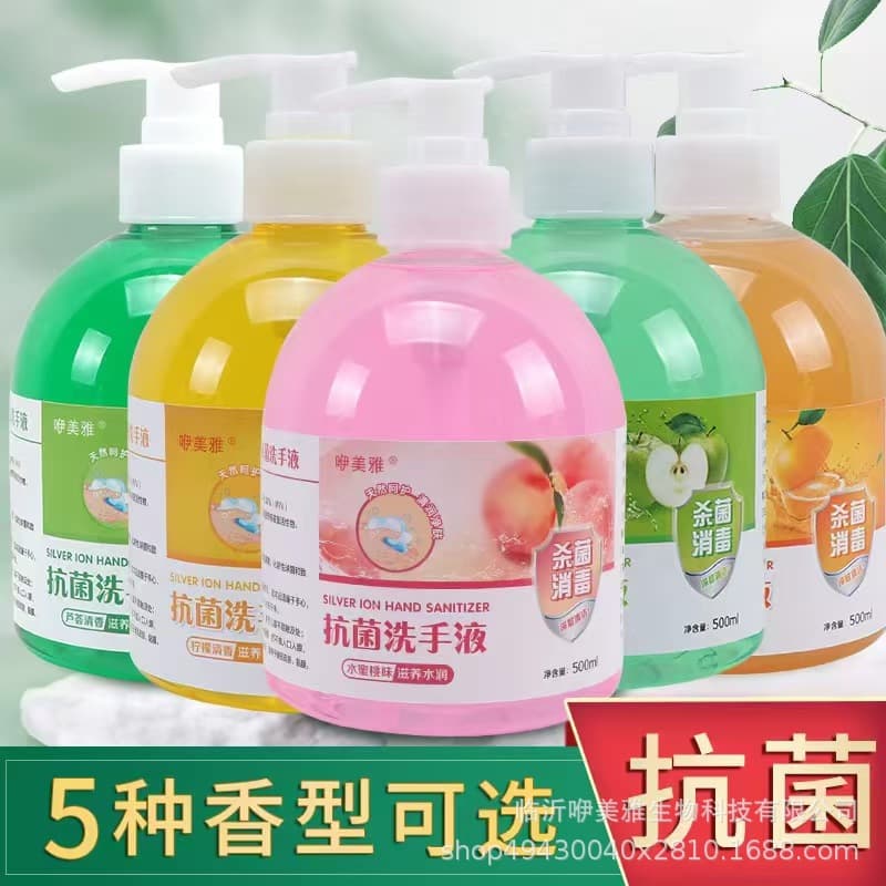 Floral and Fruity Scent Hand Soap Wholesale, Antibacterial and Disinfecting Cleaning Liquid, 500g Press-Type for Home Use, Antimicrobial and Bacteria-Inhibiting Manufacturer