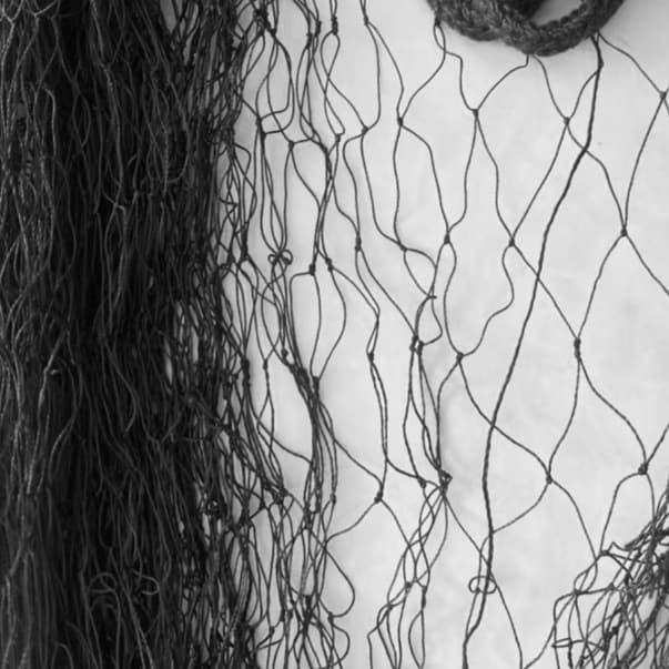 Cross-Border Bird Net for Airports, Fish Ponds, Overhead Nets, Nylon Net for Orchards and Agricultural Gardens