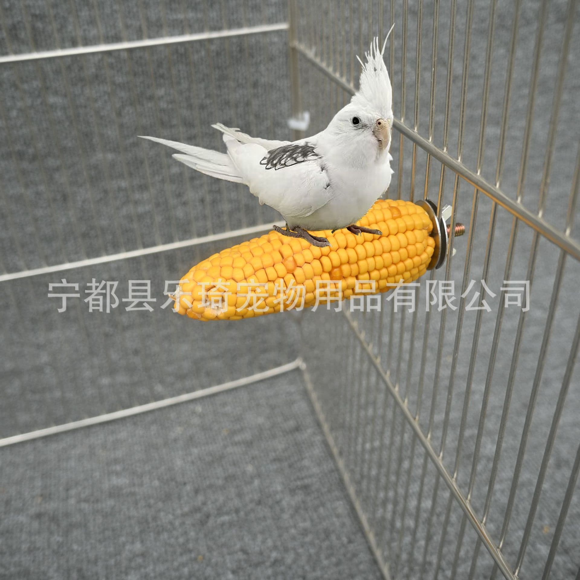 Hamster Bird Corn Perch Stick - Parrot Natural Corn Chew Toy Perch Rod - Bird Cage Play Supplies Wholesale