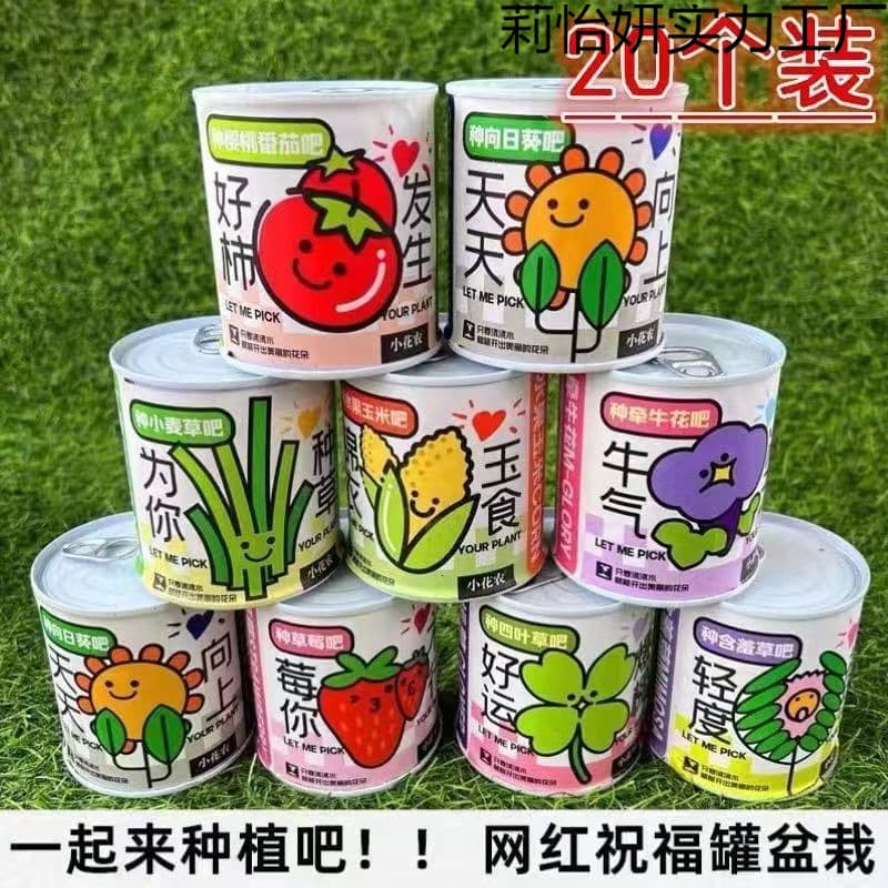 Mini Trendy Planting Can Small Potted Plant Jar Student Creative Gift Potted Canned Reward Item