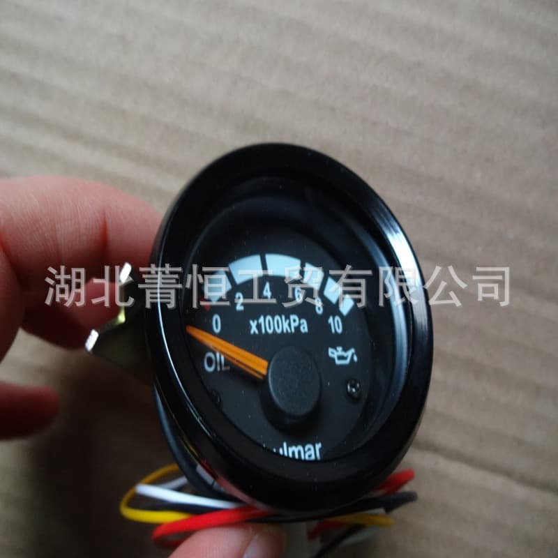 Construction Machinery Oil Pressure Gauge 3810Z15-010