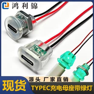 Type-C Female Socket 2P with Wire, Charging Green Light, Round Snap-On, Toy Lamp, Type-C Tail Plug USB Connector