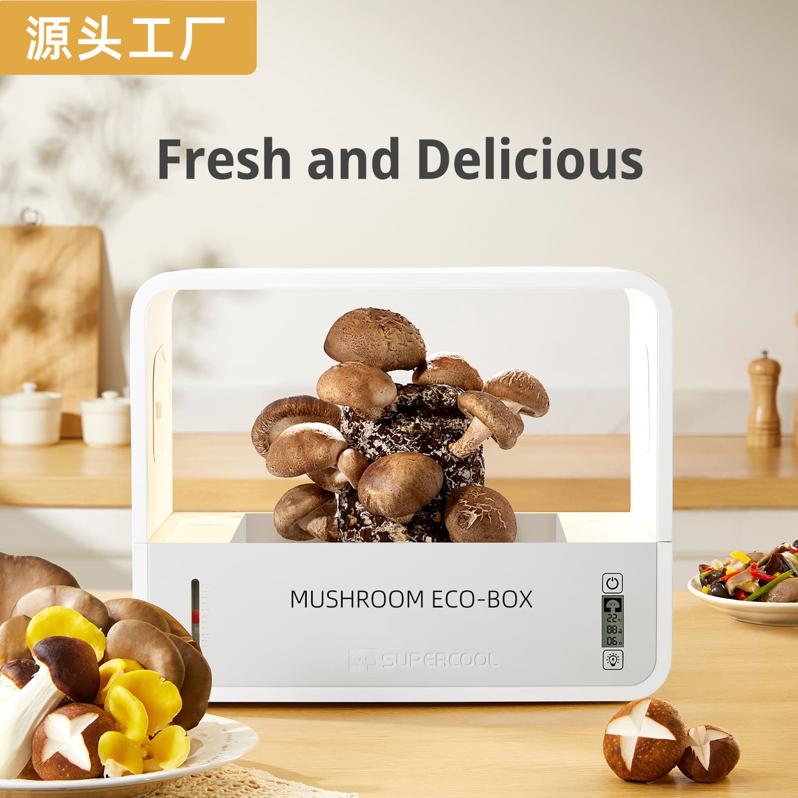 Mushroom Eco-Box, English Version, Smart Mushroom Growing Machine, Shiitake Mushroom Cultivator, Automatic Humidifying Growing Box, Cross-border Version