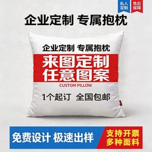 DIY Double-Sided Corporate Logo Exhibition Gift Custom Sofa Cushion Cover High-Definition Print Throw Pillow Back Support Wholesale