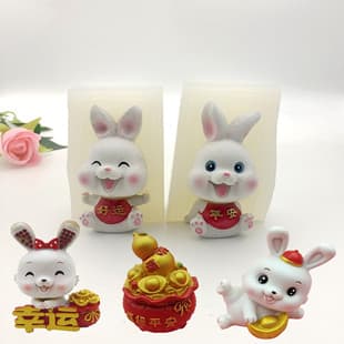 3D Rabbit Silicone Mold, Lucky Rabbit Fortune Bag for Mousse Baking, Chocolate, Scented Gypsum Candle Mold