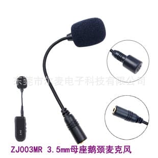 Wireless Receiver Transmitter Microphone Instrument Presenter Teacher Classroom Amplifier Base Gooseneck Plug-in Microphone