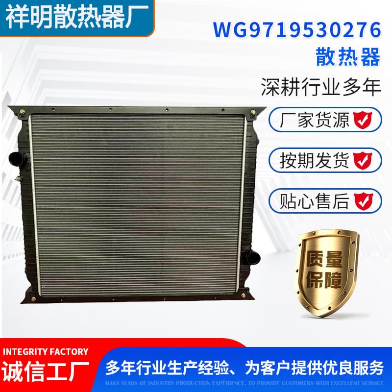 Truck Radiator SINOTRUK Shaanqi Scania Volvo MAN DAF Iveco Intercooler