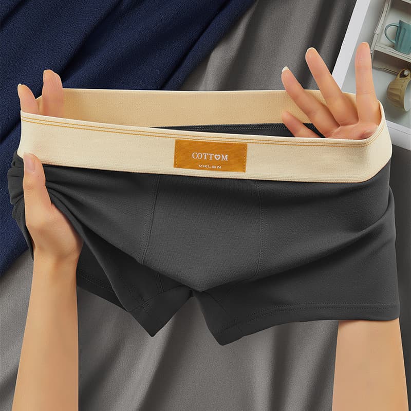 Wholesale Men's Boxer Briefs Spring Autumn Teenagers Big Size Breathable Antibacterial Cotton Underpants Trendy