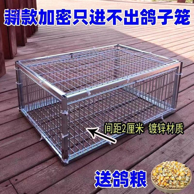 Pigeon Trap Cage for Catching Birds, Pigeon Cage, Pigeon Trap, Bird Catching Device, No Description