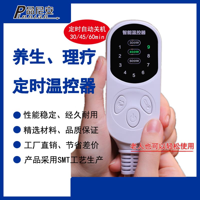 New Private Mold Single-output Hot Salt Pack with 9-level Temperature Adjustment Switch, Customizable Moxibustion Device/Electric Blanket/Heating Cap