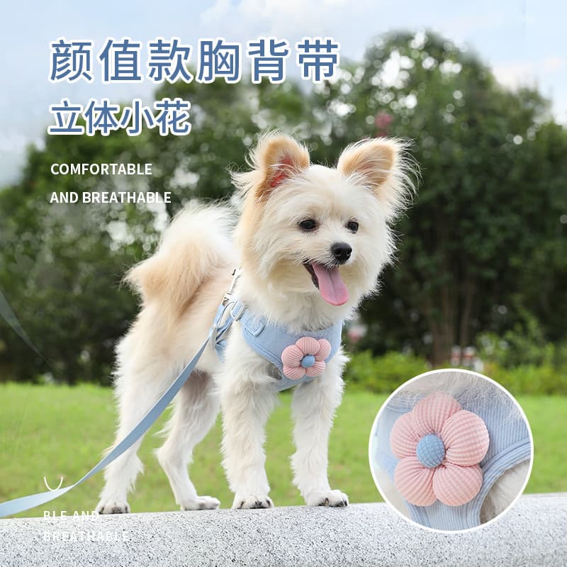 Small Dog Harness Leash Set, Vest Style for Puppies, Teddy, Bichon Frise, Pomeranian, Bichon Frise Harness Strap for Outdoor Walking