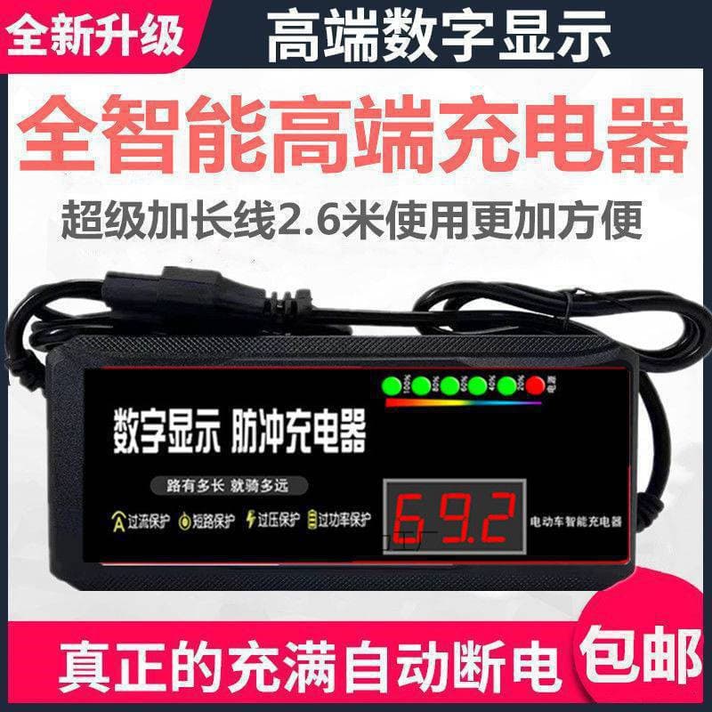 Universal Pulse Maintenance Charger for 48V/60V/72V Lead-Acid Batteries with Activation/Repair Function