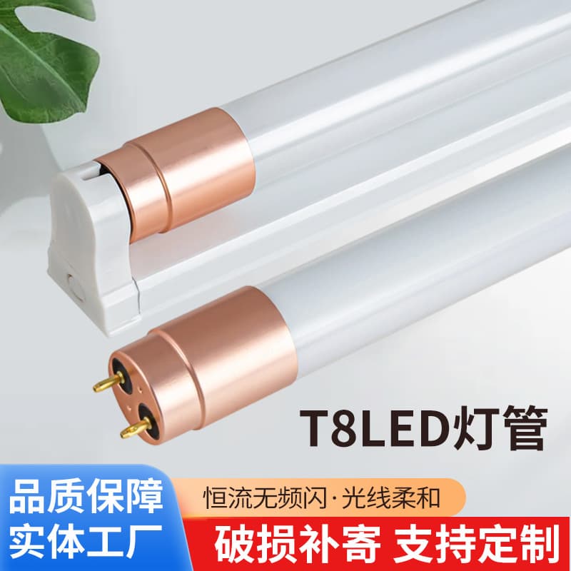 T8 LED Tube Light High Brightness Eye-Protective Aluminum End Caps Energy-Saving Glass Tube for Home and Commercial Use 1.2m LED Daylight Tube from Factory