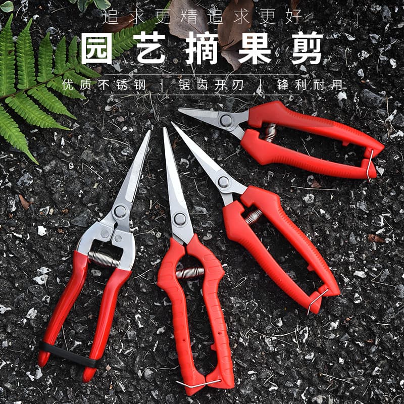 Fruit Picking Shears, Gardening Pruning Shears, Thinning Scissors, Fruit and Vegetable Harvesting Grape Scissors, Garden Pruning Shears, Sichuan Pepper Scissors