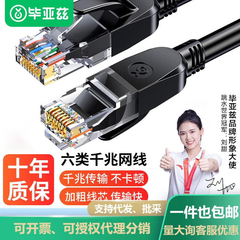 Biaze Cat6 Ethernet Cable, Gigabit High-Speed Network Cable, 8-Core Twisted Pair Finished Patch Cord for Computer Networking