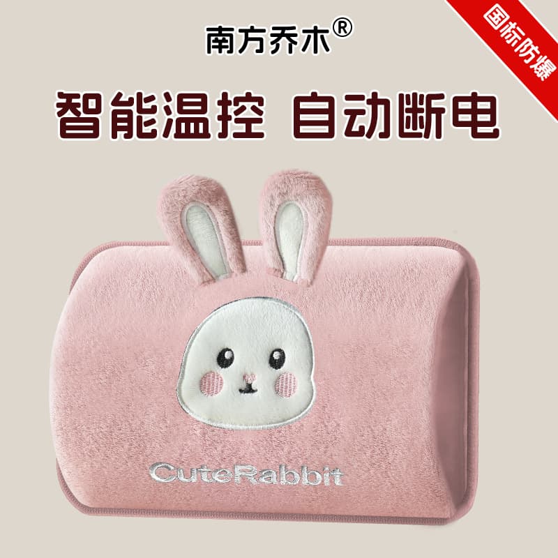 National Standard Charging Hot Water Bag Explosion-proof Auto Power-off Warm Water Bag Plush Cartoon Double Hand Pocket Heat Pack Factory Wholesale