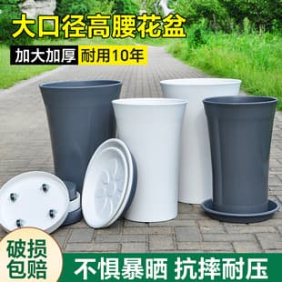 Gardening Extra Large High Waist Glossy Resin Pot Deep Tall Nordic Style Bird of Paradise Special Living Room Home Flower Pot