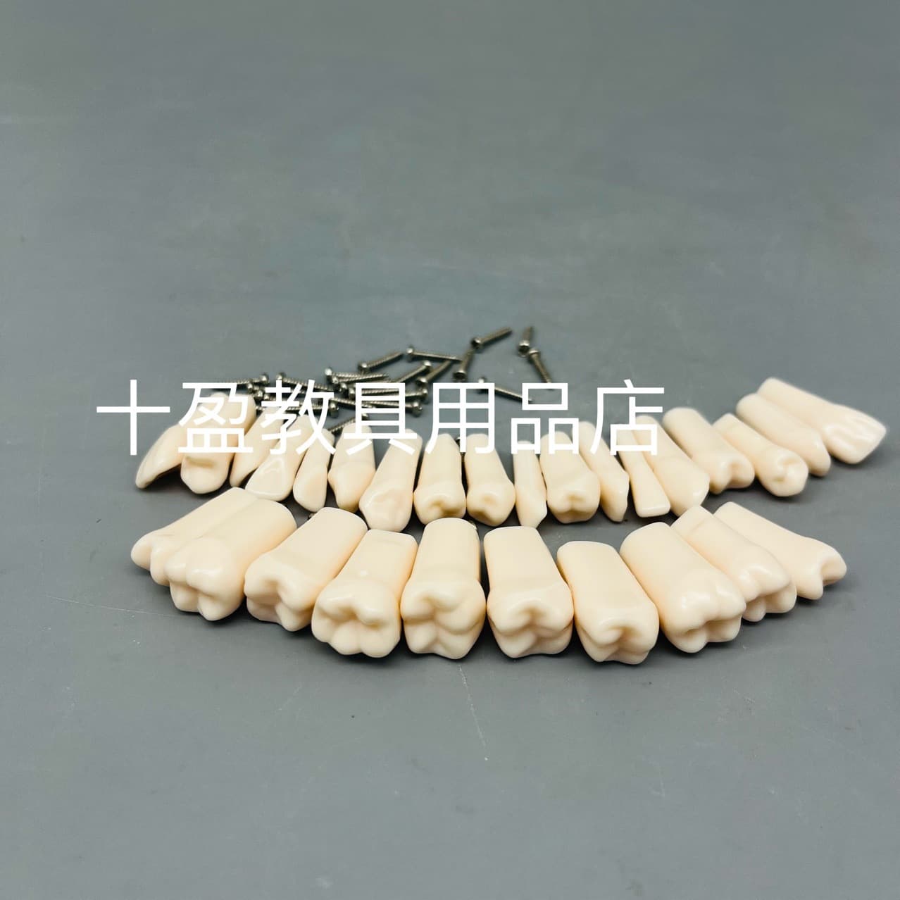 Dental Simulation Tooth Particles Resin Particles Tooth Material Extracted Teeth Oral Consumables Tooth Preparation Models Exam Practice Teeth