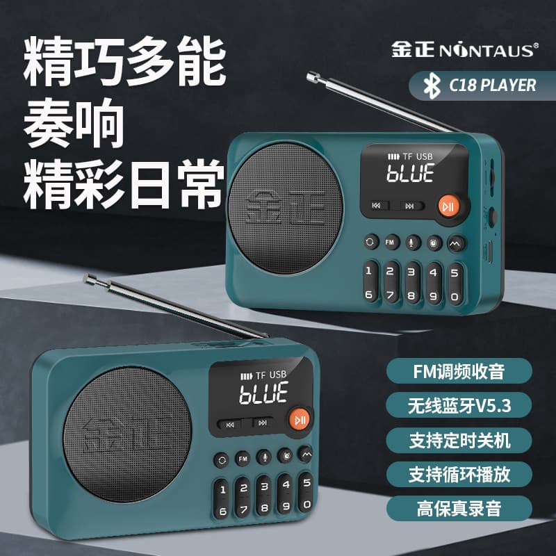 JinZheng C18 Bluetooth MP3 Player with Timer Shutdown, Card Slot, Music Singing Machine, Rechargeable Recorder