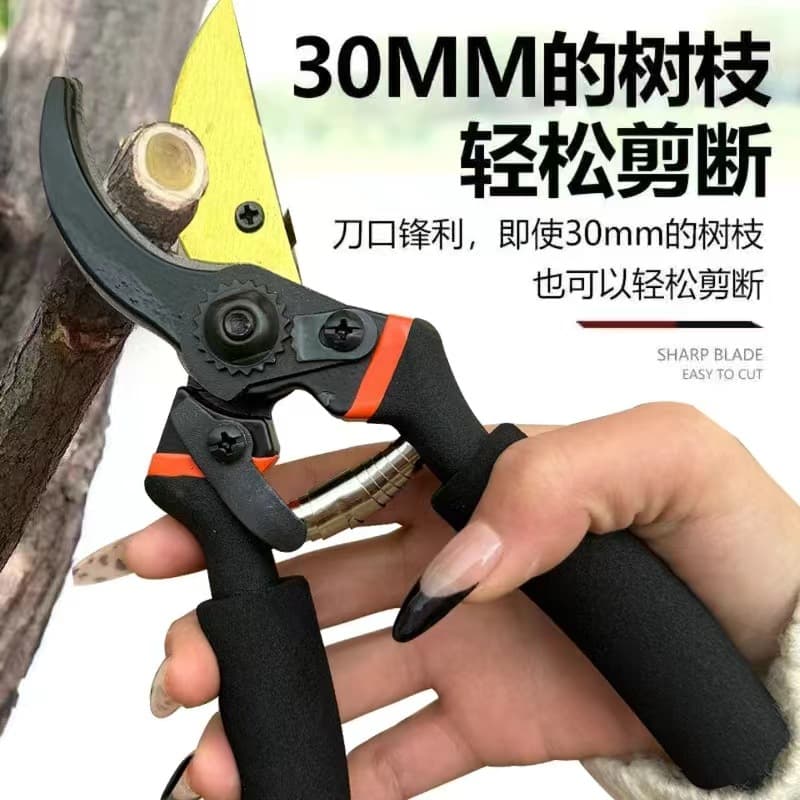 Alibaba-1688 product cannot be viewed or has been removed