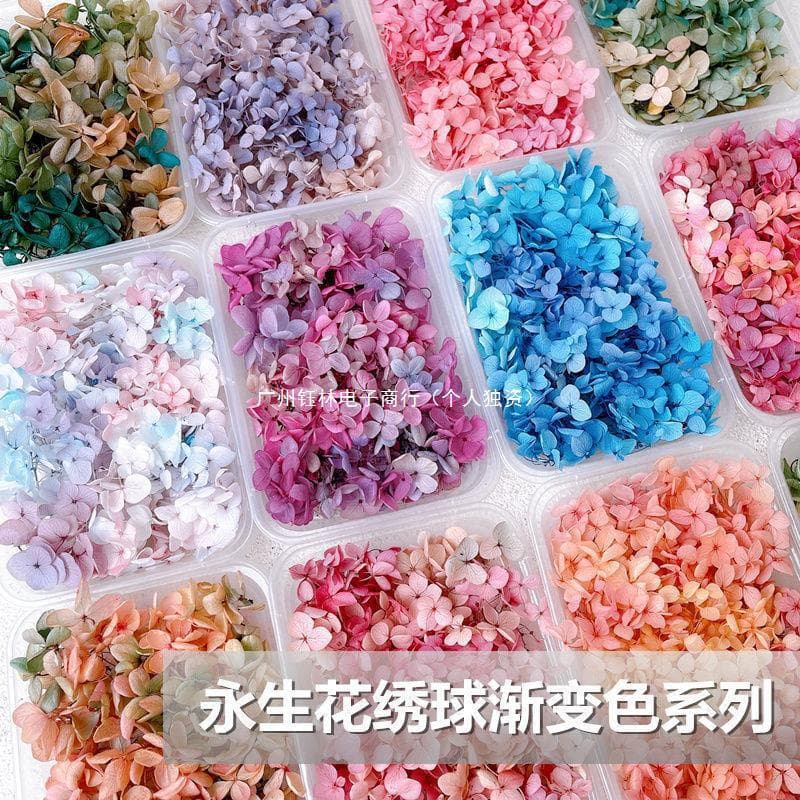 Hydrangea preserved flower wholesale gradient dried flower wedding shoe face glass cover vase team building activity floral class drop shipping