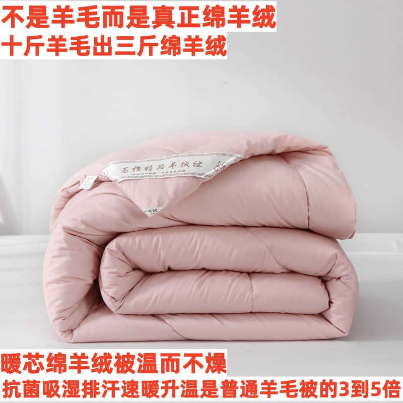 100% Pure Wool Duvet Baby/Student Dorm Thick Spring/Autumn All-Season Universal Warm Sheep Fleece Double Blanket