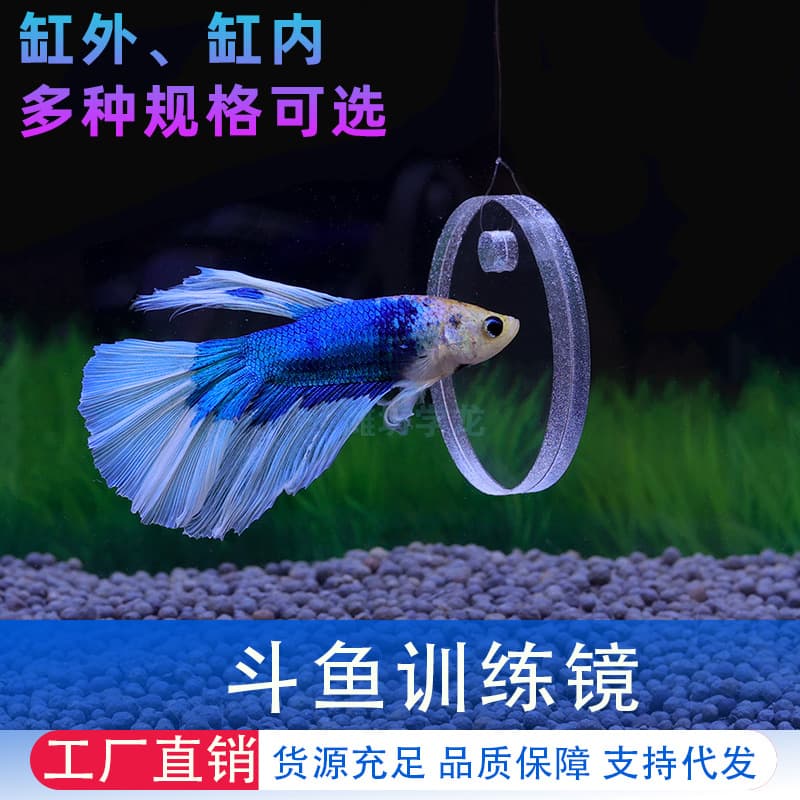 Acrylic Fighting Fish Training Mirror Double-Sided Floating Ball Suction Cup Aquarium Exterior Entertaining Fish Mirror