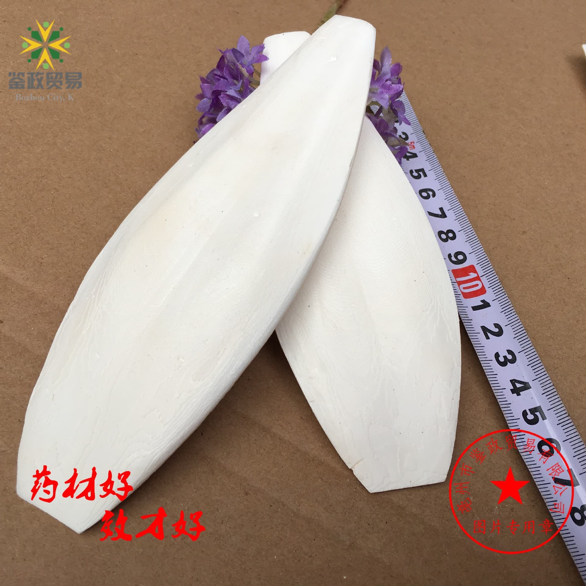 Wholesale pet supplies, cuttlefish bone trimming and polishing, molar bird toys for crawling pets, bird food, cuttlefish bone