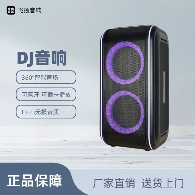 Feiyang Speaker Dual 6.5-inch HiFi High-Power Outdoor Bluetooth Speaker In Stock and Available