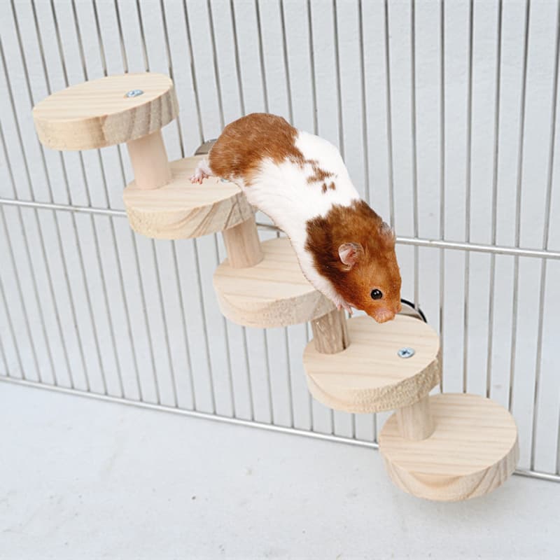 Hamster parrot toy BBK ladder wooden stairs round wood ladder cage landscaping supplies factory wholesale