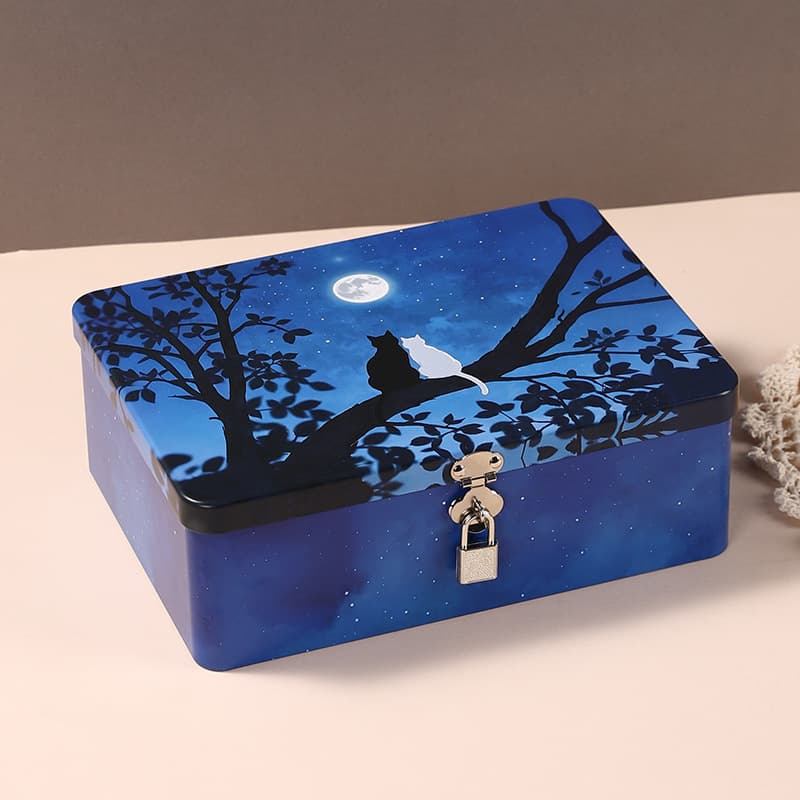 Nordic style creative iron storage box children's pocket money storage box with lock household thickened tinplate organizing box