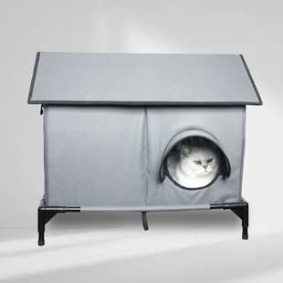 Visible Window Sturdy Support Breathable Pet House Dog Cat Ventilated Pet Carrier Exquisite Workmanship Included