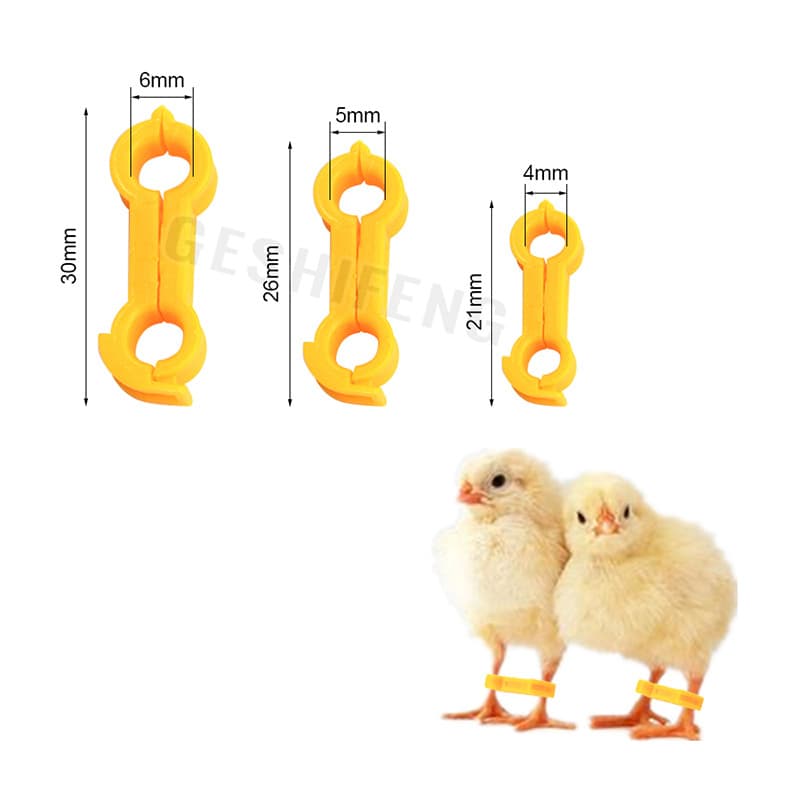 Bird Figure-Eight Leg Corrector, Pigeon Out-Toe Correction Tool, Fixing Clip, Rehabilitation Bird Leg Ring, Factory Wholesale
