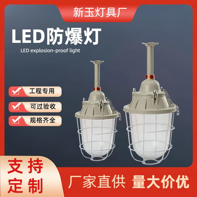 LED Explosion-Proof Light for Factory Workshop, Industrial Plant, Warehouse, Flameproof Type 250, Gas Station Specific