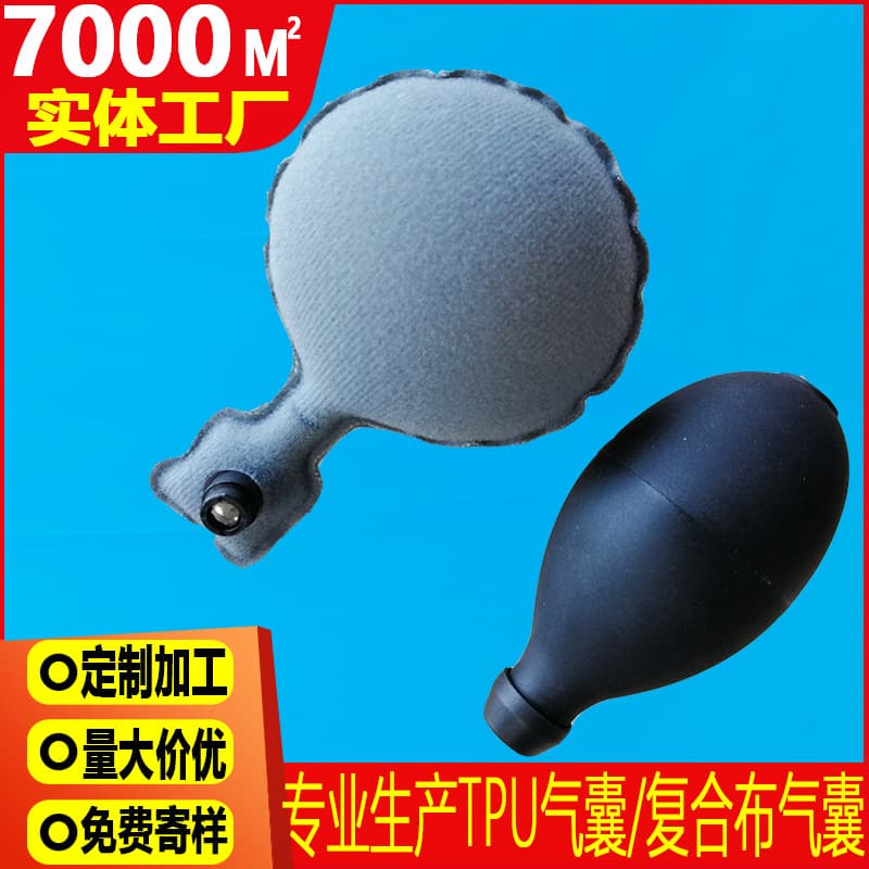 Brace Airbag Net Payment Link