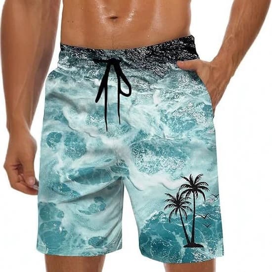 Cross-Border Beach Quick-Dry Shorts Sports Vacation Beach 3D Digital Print Swim Trunks Fashion TEMU Hot Sale