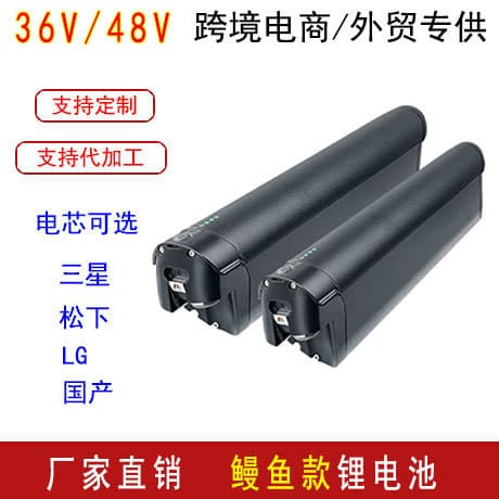 Cross-border EEL eel Mini Pro Electric Bicycle 36V Built-in Lithium Battery 48V Battery