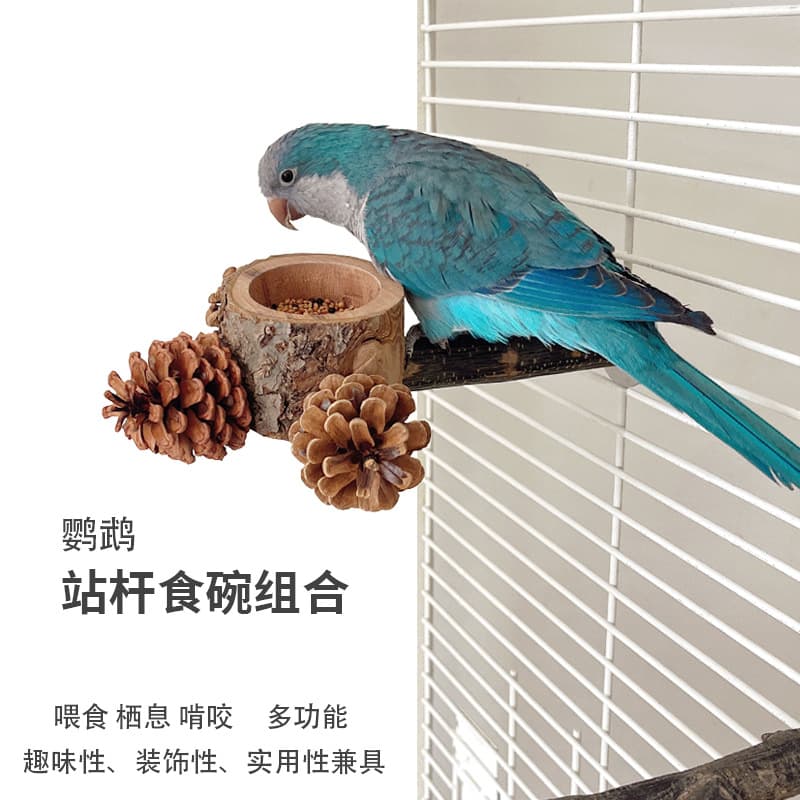Parrot Apple Wood Feeding Bowl Natural Wood Bird Perch Stand Chewing Pine Cone Set Parrot Toy Wooden Bird Supplies