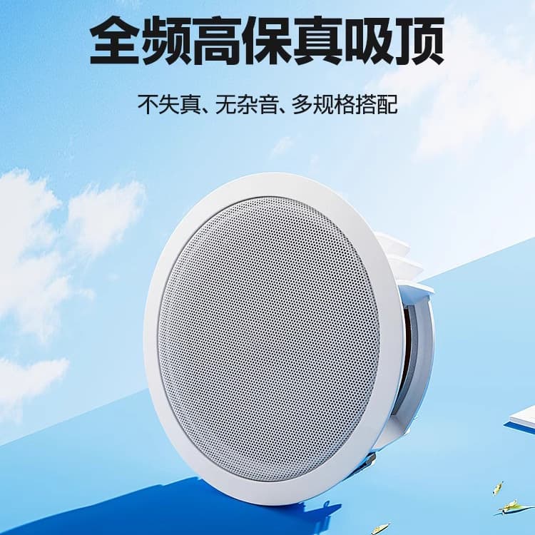Ceiling Speaker Amplifier Set In-Ceiling Flush Mount Horn Decorative Embedded Store-Specific Audio System