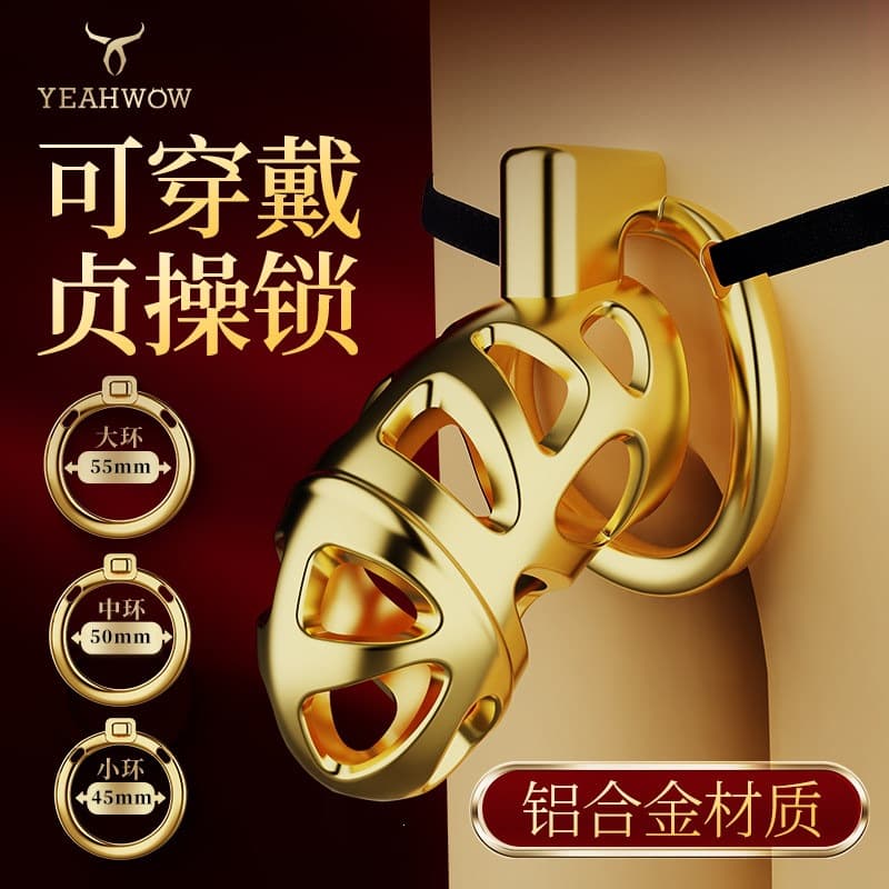 CB lock metal chastity lock box for men to prevent cheating, transvestite chastity lock, abstinence ring, birdcage sex toy